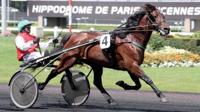 Photo Les produits de TORNADO BELLO performent sur les hippodromes !