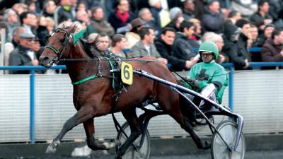 Photo ROLLING D'HERIPRE 3 vainqueurs et 3 placés 