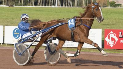 Photo Nouveau record pour GALA TEJY !