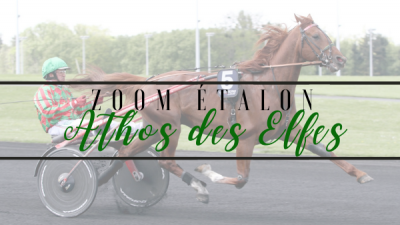 Photo Zoom Etalon : ATHOS DES ELFES