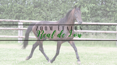 Photo Zoom Etalon : REAL DE LOU