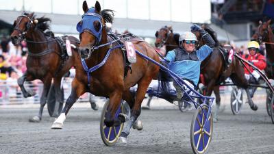 Photo TIMOKO : 4 vainqueurs et 8 placés