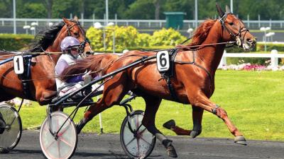 Photo BOCCADOR DE SIMM : 7 vainqueurs et 9 placés