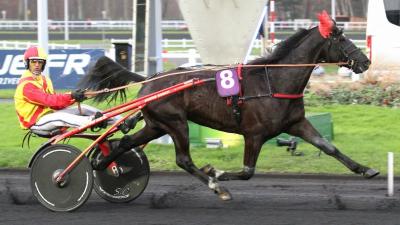 Photo VOLTIGEUR DE MYRT : 4 vainqueurs et 3 placés