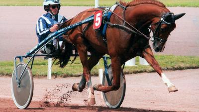 Photo ROC MESLOIS : 3 vainqueurs et 9 placés