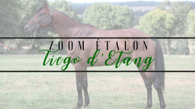 Photo Zoom Etalon : TIEGO D'ETANG