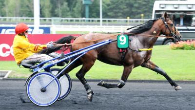 Photo ALTO DE VIETTE : 4 vainqueurs et 2 placés