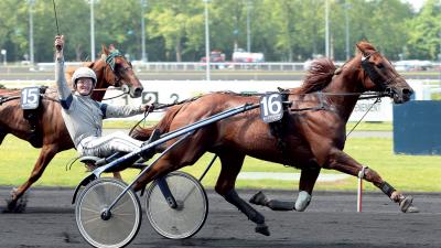 Photo AKIM DU CAP VERT : 3 vainqueurs et 2 placés