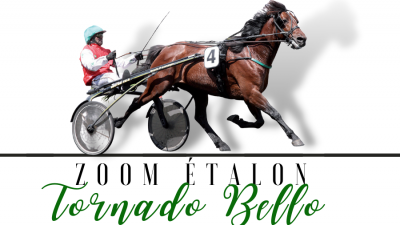 Photo Zoom Etalon : TORNADO BELLO