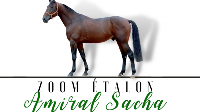 Photo Zoom Etalon : AMIRAL SACHA