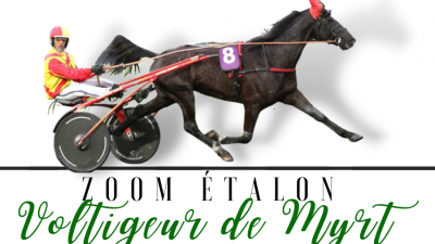 Photo Zoom Etalon : VOLTIGEUR DE MYRT