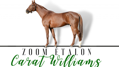 Photo Zoom Etalon : CARAT WILLIAMS