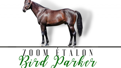 Photo Zoom Etalon : BIRD PARKER