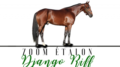 Photo Zoom Etalon : DJANGO RIFF