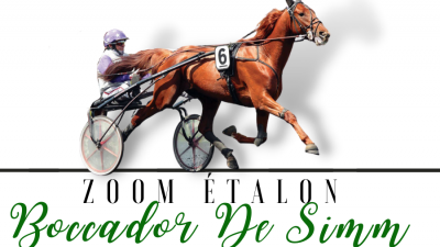 Photo Zoom Etalon : BOCCADOR DE SIMM