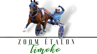 Photo Zoom Etalon : TIMOKO