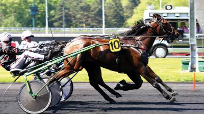 Photo ENINO DU POMMEREUX : déjà 5 qualifiés !