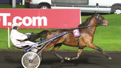 Photo BRUTUS DE BAILLY : 1 vainqueur de Groupe à Vincennes