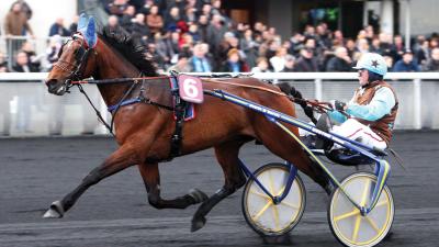 Photo UNIQUE QUICK : 2 vainqueurs et 3 placés