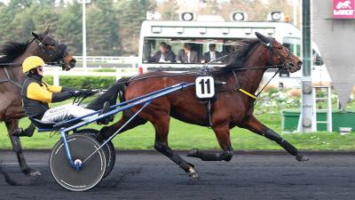 Photo DRAGON DU FRESNE : 1er vainqueur de Groupe