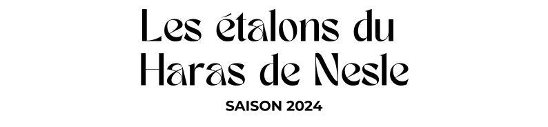 Photo Les étalons du Haras de Nesle - Saison 2024