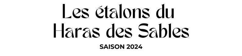 Photo Les étalons du Haras des Sables - Saison 2024