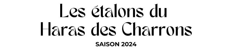 Photo Les étalons du Haras des Charrons - Saison 2024