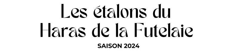 Photo Les étalons du Haras de la Futelaie - Saison 2024