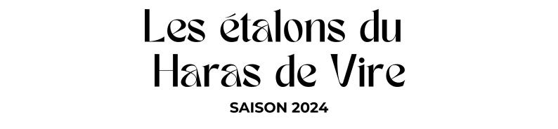 Photo Les étalons du Haras de Vire - Saison 2024