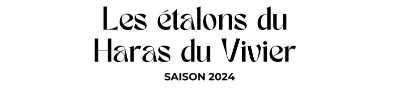 Photo Les étalons du Haras du Vivier - Saison 2024