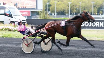 Photo DIABLE DE VAUVERT arrive 6e dans le Prix de Bretagne