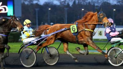 Photo DUCATO BOURBON : 5 gagnants et 3 placés depuis le début du mois !