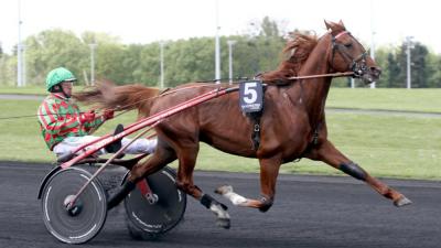 Photo ATHOS DES ELFES : 4 gagnants et 5 placés en mai 2024 !