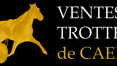 Photo Ventes de yearlings à Caen