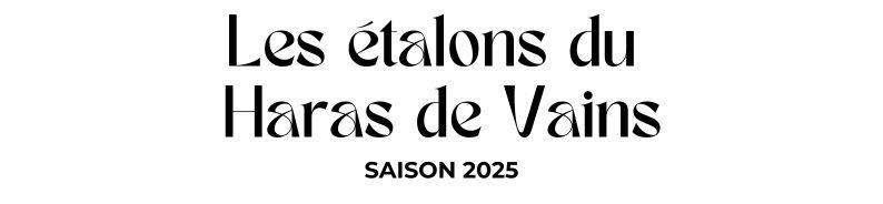 Photo Les étalons du Haras de Vains - Saison 2025