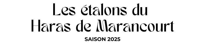 Photo Les étalons du Haras de Marancourt - Saison 2025