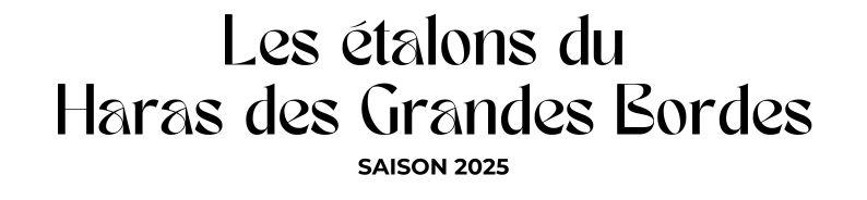 Photo Les étalons du Haras des Grande Bordes - Saison 2025