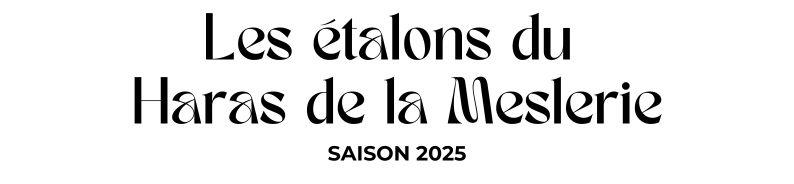 Photo Les étalons du Haras de la Meslerie - Saison 2025