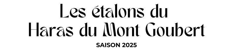 Photo Les étalons du Haras du Mont Goubert - Saison 2025