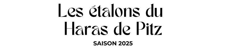 Photo Les étalons du Haras de Pitz - Saison 2025