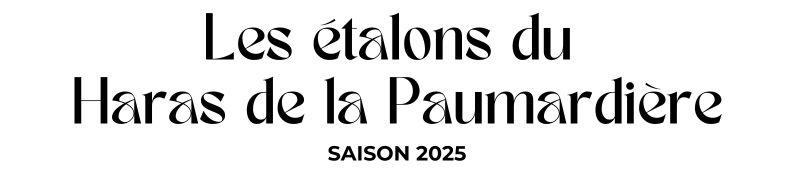 Photo Les étalons du Haras de la Paumardière - Saison 2025