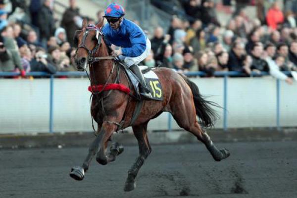 Photo Une fille de SCIPION DU GOUTIER remporte le Prix du Cornulier