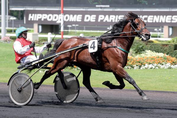 Photo Les produits de TORNADO BELLO performent sur les hippodromes !