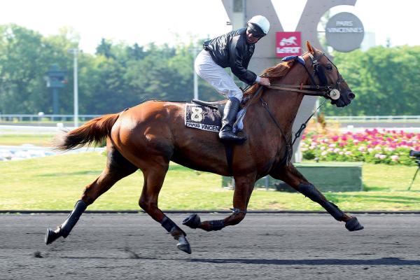 Photo 2 vainqueurs pour VULCAIN DU VIVIER