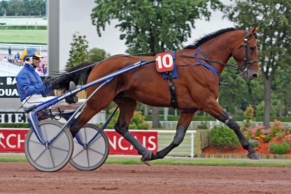 Photo RODRIGO JET : 3 vainqueurs et 9 placés