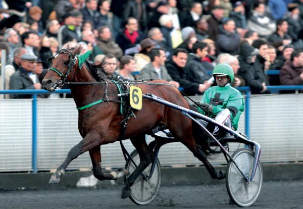 Photo ROLLING D'HERIPRE 3 vainqueurs et 3 placés 