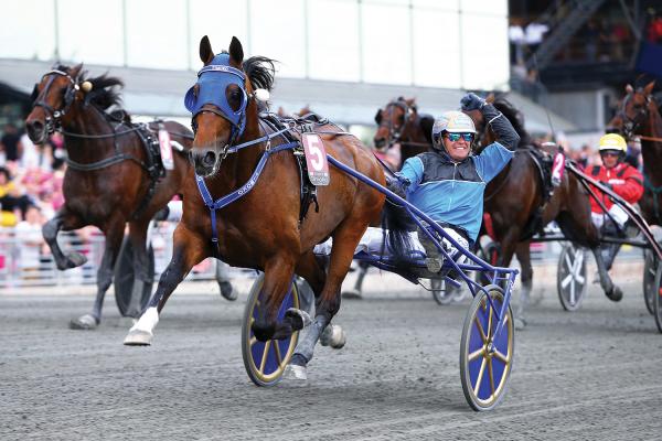 Photo TIMOKO : 4 vainqueurs et 8 placés