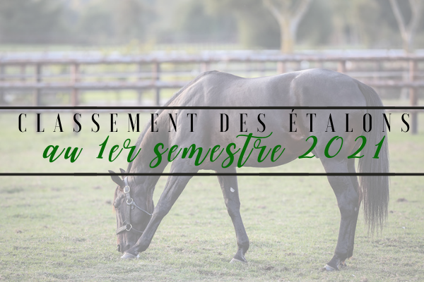 Photo Classement des étalons au 1er semestre 2021