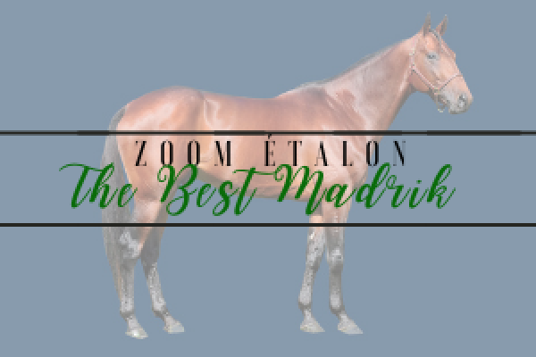 Photo Zoom Etalon : THE BEST MADRIK