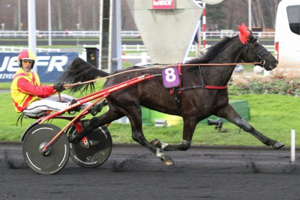 Photo VOLTIGEUR DE MYRT : 4 vainqueurs et 3 placés